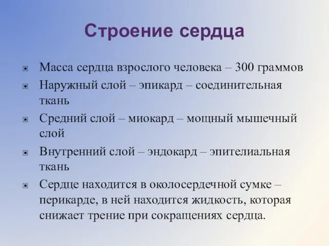 Строение сердца Масса сердца взрослого человека – 300 граммов Наружный слой –