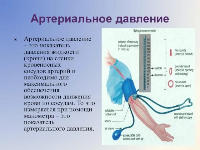 Артериальное давление Артериальное давление – это показатель давления жидкости (крови) на стенки
