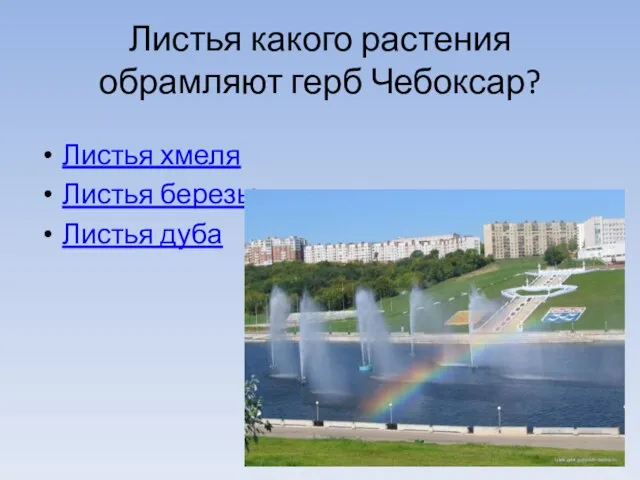 Листья какого растения обрамляют герб Чебоксар? Листья хмеля Листья березы Листья дуба