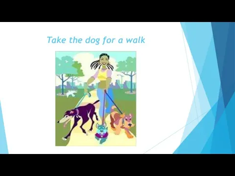 Take the dog for a walk