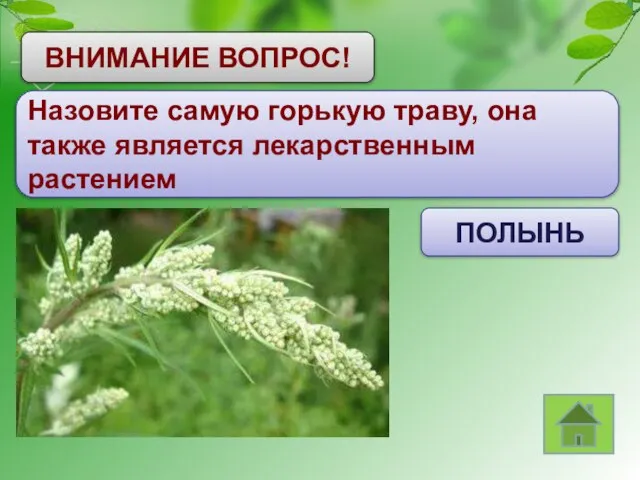 ВНИМАНИЕ ВОПРОС! Назовите самую горькую траву, она также является лекарственным растением ПОЛЫНЬ