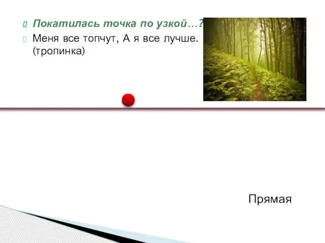 Покатилась точка по узкой…? Меня все топчут, А я все лучше. (тропинка) Прямая