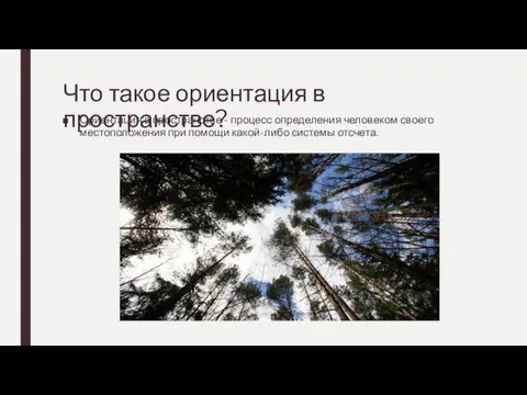 Что такое ориентация в пространстве? Ориентация в пространстве - процесс определения человеком