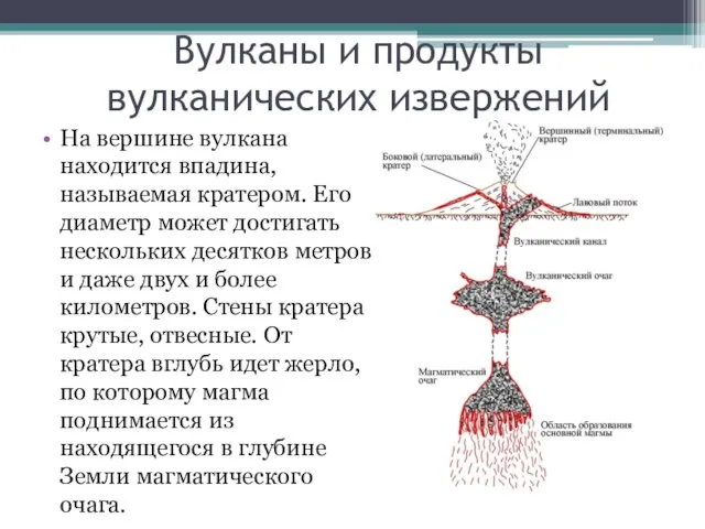 Вулканы и продукты вулканических извержений На вершине вулкана находится впадина, называемая кратером.