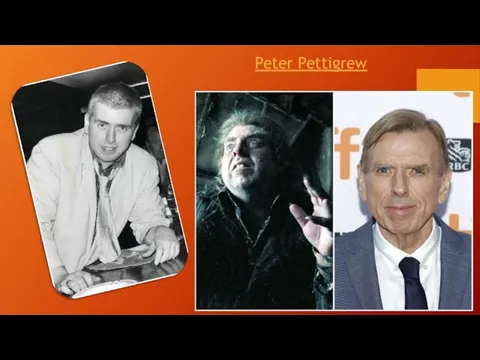 Peter Pettigrew