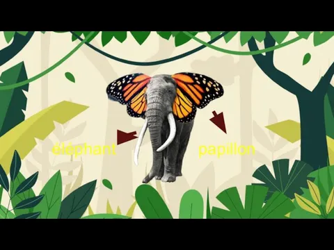 papillon éléphant