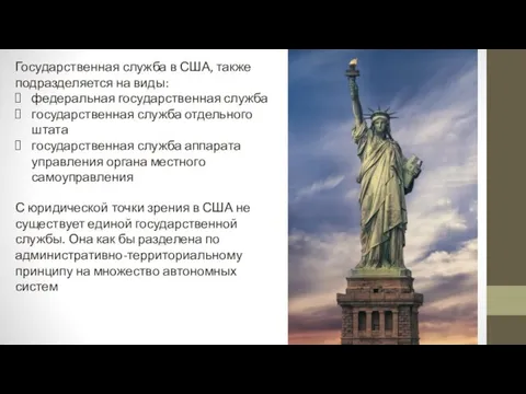 Государственная служба в США, также подразделяется на виды: федеральная государственная служба государственная