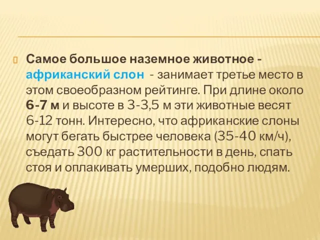 Самое большое наземное животное - африканский слон - занимает третье место в