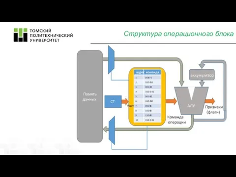 Структура операционного блока