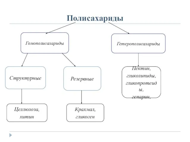 Полисахариды Гомополисахариды Гетерополисахариды Структурные Резервные Пектин, гликолипиды, гликопротеиды, гепарин, Целлюлоза, хитин Крахмал, гликоген