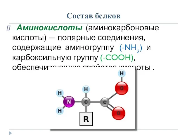 Состав белков Аминокислоты (аминокарбоновые кислоты) — полярные соединения, содержащие аминогруппу (-NH2) и