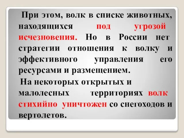 При этом, волк в списке животных, находящихся под угрозой исчезновения. Но в