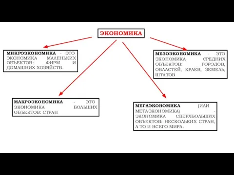 МИКРОЭКОНОМИКА - ЭТО ЭКОНОМИКА МАЛЕНЬКИХ ОБЪЕКТОВ: ФИРМ И ДОМАШНИХ ХОЗЯЙСТВ. ЭКОНОМИКА МЕЗОЭКОНОМИКА