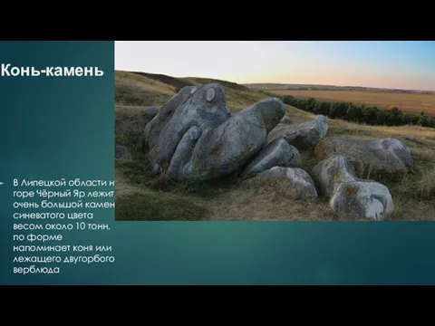 Конь-камень В Липецкой области на горе Чёрный Яр лежит очень большой камень