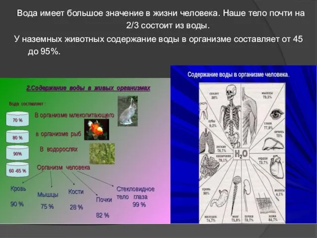 Вода имеет большое значение в жизни человека. Наше тело почти на 2/3