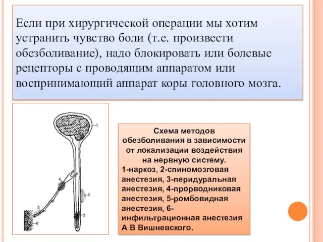 Если при хирургической операции мы хотим устранить чувство боли (т.е. произвести обезболивание),