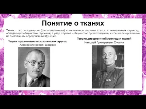 Понятие о тканях Ткань - это исторически (филогенетически) сложившиеся системы клеток и