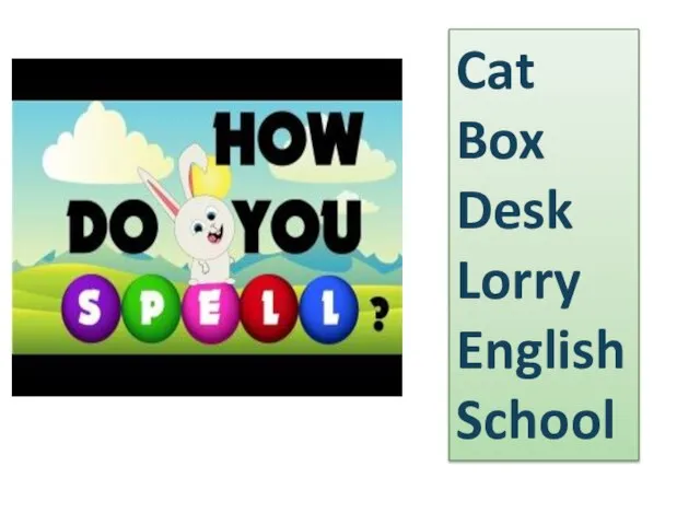 Cat Box Desk Lorry English School