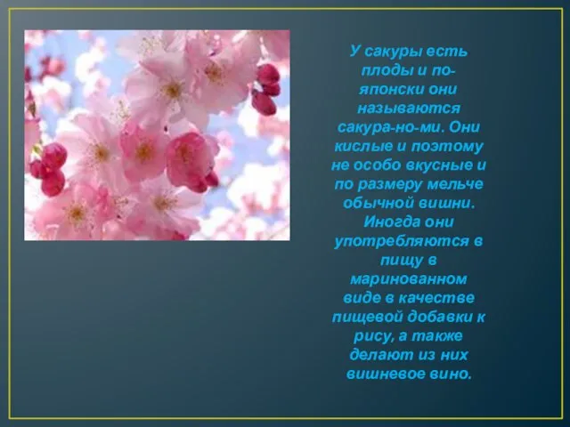 У сакуры есть плоды и по-японски они называются сакура-но-ми. Они кислые и