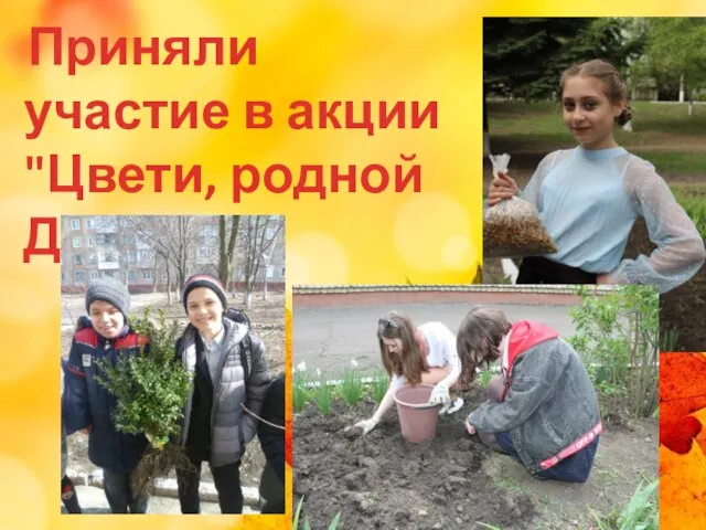 Приняли участие в акции "Цвети, родной Донбасс!"