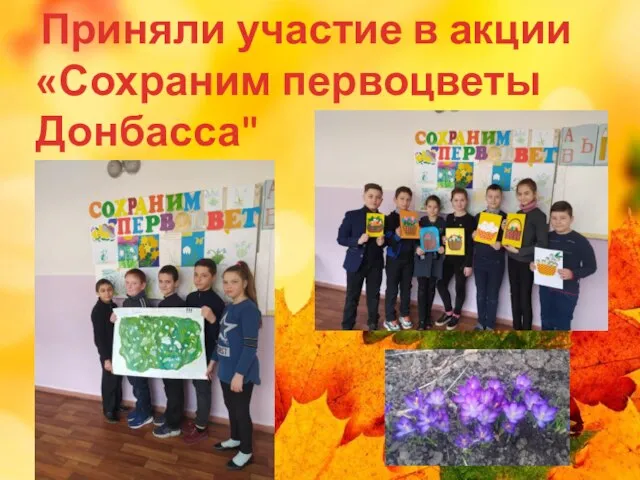 Приняли участие в акции «Сохраним первоцветы Донбасса"