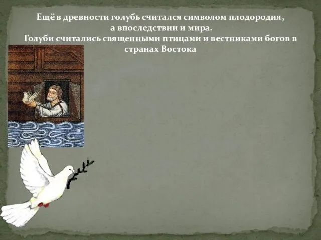 Ещё в древности голубь считался символом плодородия, а впоследствии и мира. Голуби