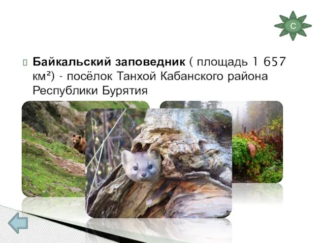 Байкальский заповедник ( площадь 1 657 км²) - посёлок Танхой Кабанского района Республики Бурятия С