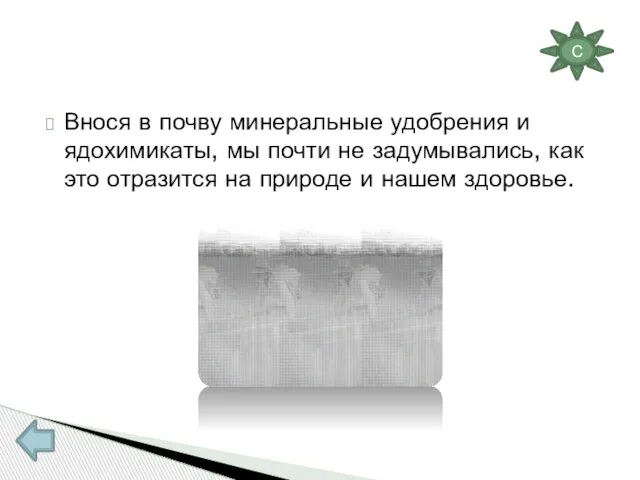 Внося в почву минеральные удобрения и ядохимикаты, мы почти не задумывались, как