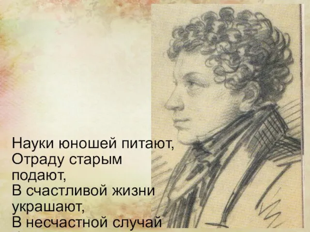 Науки юношей питают, Отраду старым подают, В счастливой жизни украшают, В несчастной случай берегут