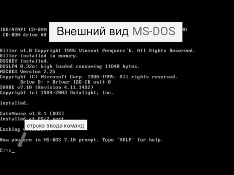 Внешний вид MS-DOS строка ввода команд