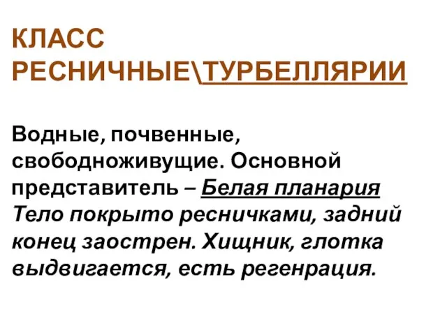 КЛАСС РЕСНИЧНЫЕ\ТУРБЕЛЛЯРИИ Водные, почвенные, свободноживущие. Основной представитель – Белая планария Тело покрыто