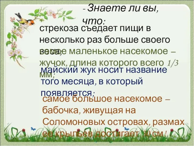 - Знаете ли вы, что: стрекоза съедает пищи в несколько раз больше