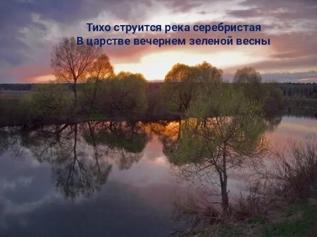 Тихо струится река серебристая В царстве вечернем зеленой весны