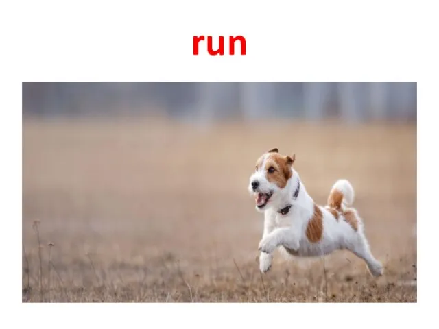 run