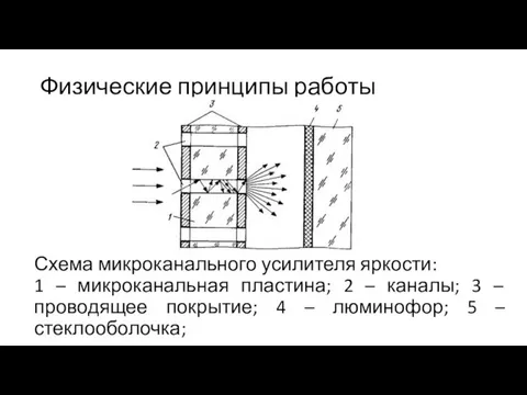 Физические принципы работы Схема микроканального усилителя яркости: 1 – микроканальная пластина; 2