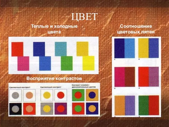 Соотношение цветовых пятен Теплые и холодные цвета Восприятие контрастов ЦВЕТ