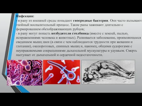 Инфекция: - в рану из внешней среды попадают гноеродные бактерии. Они часто