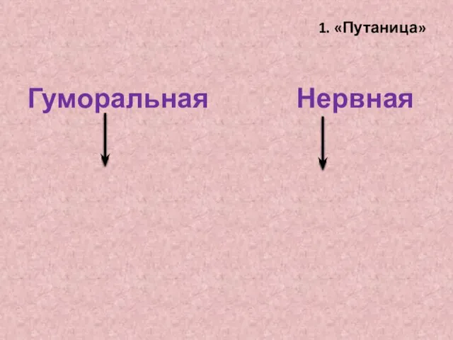 1. «Путаница» Гуморальная Нервная