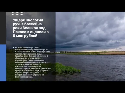 Ущерб экологии ручья бассейна реки Великая под Псковом оценили в 9 млн