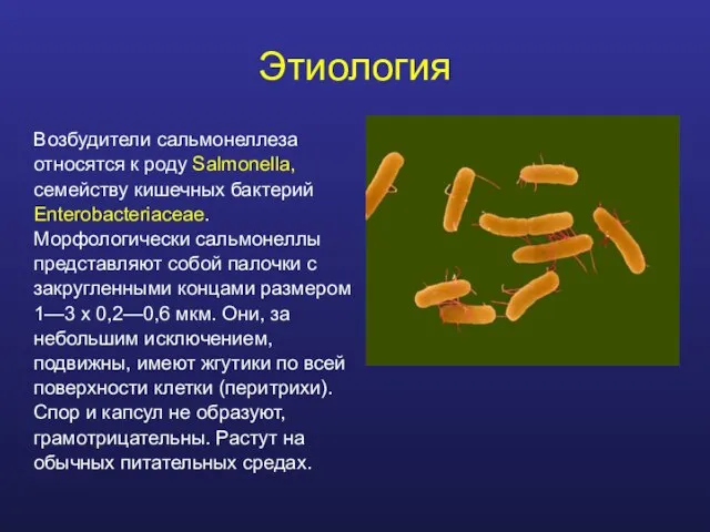 Этиология Возбудители сальмонеллеза относятся к роду Salmonella, семейству кишечных бактерий Enterobacteriaceae. Морфологически