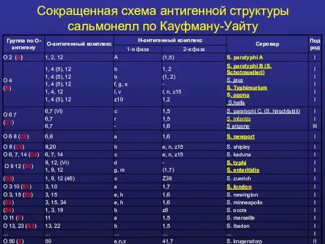 Сокращенная схема антигенной структуры сальмонелл по Кауфману-Уайту