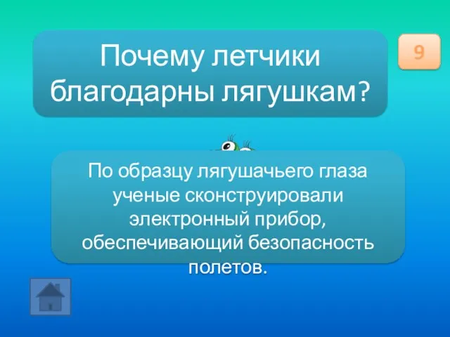 Почему летчики благодарны лягушкам? 9 По образцу лягушачьего глаза ученые сконструировали электронный прибор, обеспечивающий безопасность полетов.