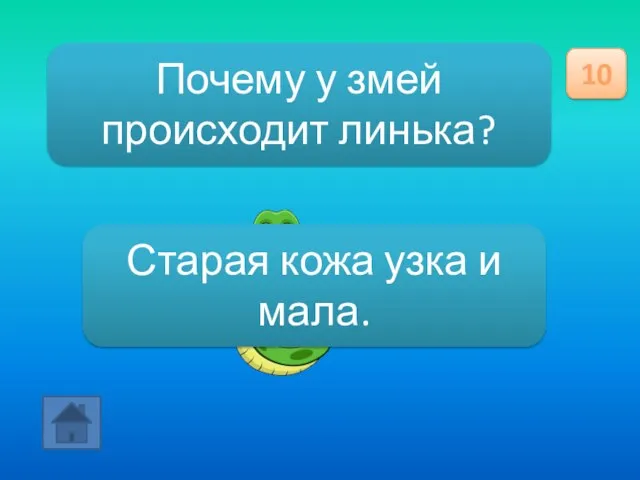 Почему у змей происходит линька? 10 Старая кожа узка и мала.