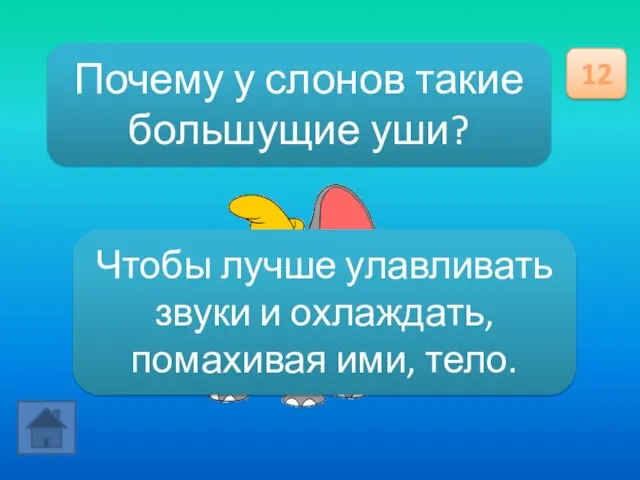 Почему у слонов такие большущие уши? 12 Чтобы лучше улавливать звуки и охлаждать, помахивая ими, тело.