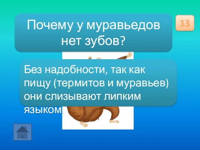 Почему у муравьедов нет зубов? 13 Без надобности, так как пищу (термитов