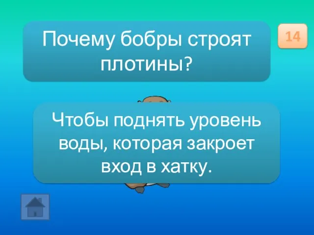 Почему бобры строят плотины? 14 Чтобы поднять уровень воды, которая закроет вход в хатку.