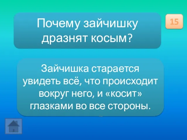 Почему зайчишку дразнят косым? 15 Зайчишка старается увидеть всё, что происходит вокруг