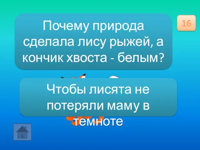 Почему природа сделала лису рыжей, а кончик хвоста - белым? 16 Чтобы