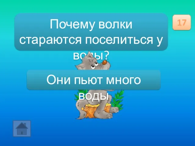 Почему волки стараются поселиться у воды? 17 Они пьют много воды