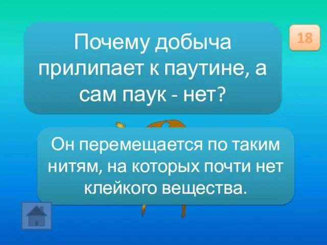 Почему добыча прилипает к паутине, а сам паук - нет? 18 Он